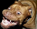 An angry-looking dog